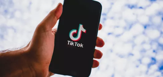 TikTok Purple Ticket
